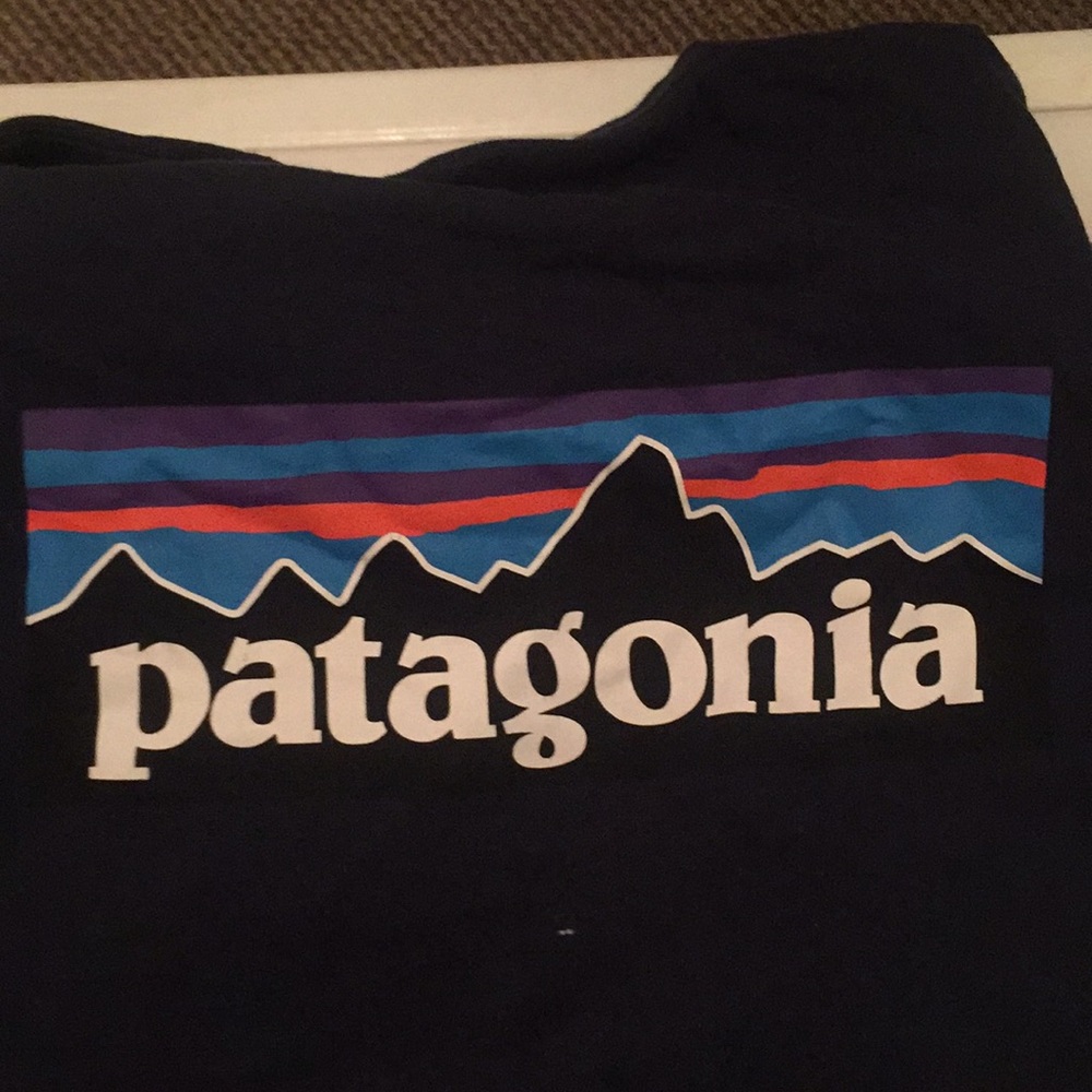 Patagonia t shirt (short sleeve)